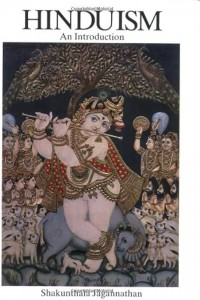 Image of Hinduism an Introduction